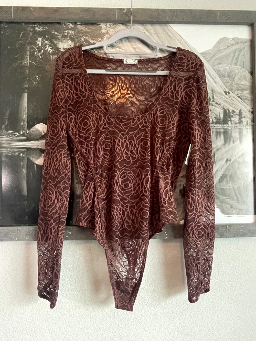 Free People Brown Floral Lace Long Sleeve Bodysuit